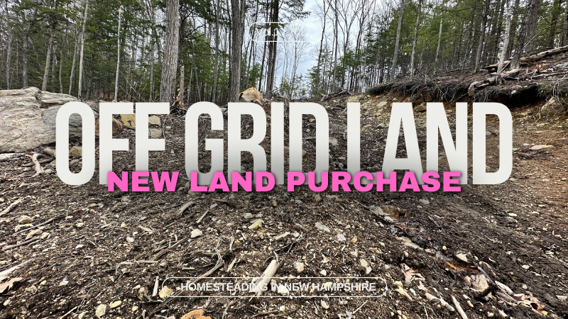 New Off-Grid Property Purchase in Northern New Hampshire!